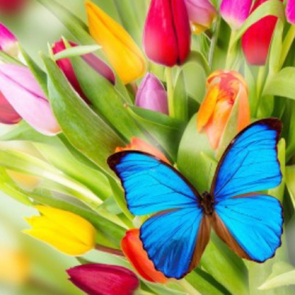 Meet your Posher, Doris